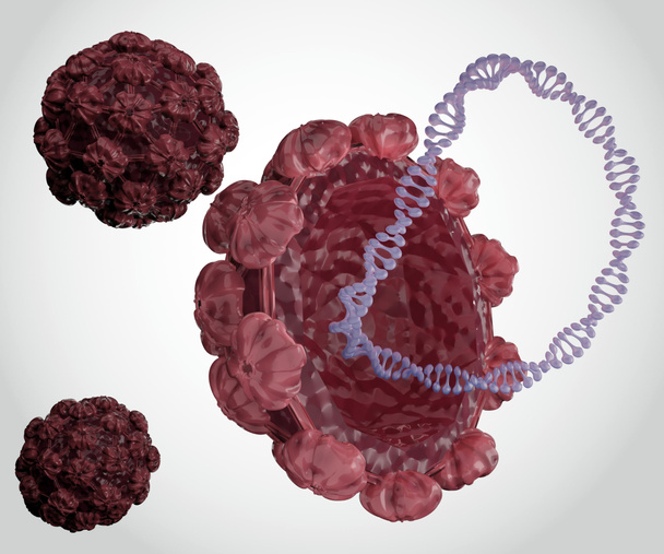 単離されたヒトパピローマウイルスゲノムは、二重鎖円形DNA 3Dレンダリングで構成されています - 写真・画像