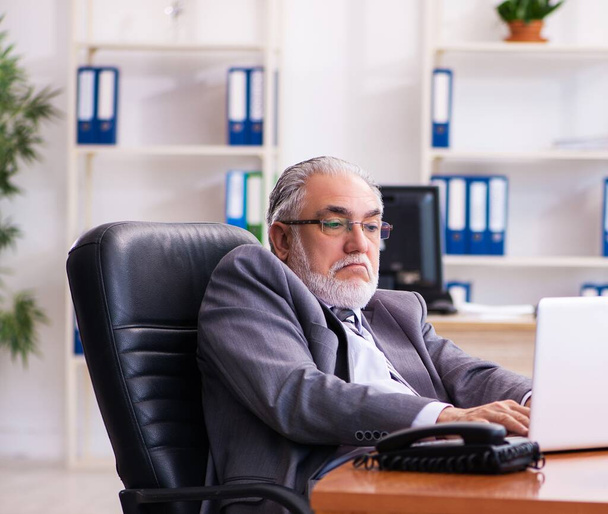 Senior male businessman employee working in the office - Fotoğraf, Görsel