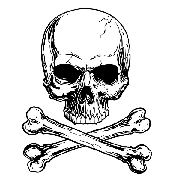 Skull and crossbones - Vector, Image