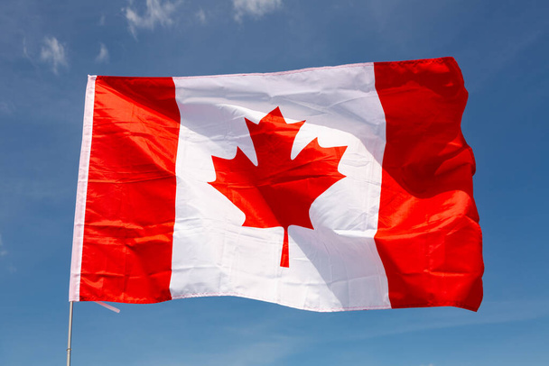 Waving flag of Canada against a blue sky - Фото, изображение