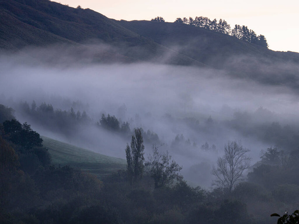 niebla matutina, Ucieda, parque natural del Saja-Besaya, Cantabria, İspanya - Fotoğraf, Görsel