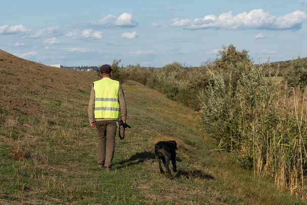 Mature man hunter with gun while walking on field with your dogs - Fotografie, Obrázek