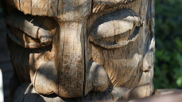 Maravillas de madera - Esculturas que adornan el jardín botánicoDescubre la encantadora belleza de las esculturas de madera que adornan el jardín botánico, mezclando el arte con el esplendor de la naturaleza - Foto, Imagen