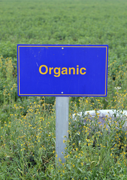 organické potraviny. - Fotografie, Obrázek