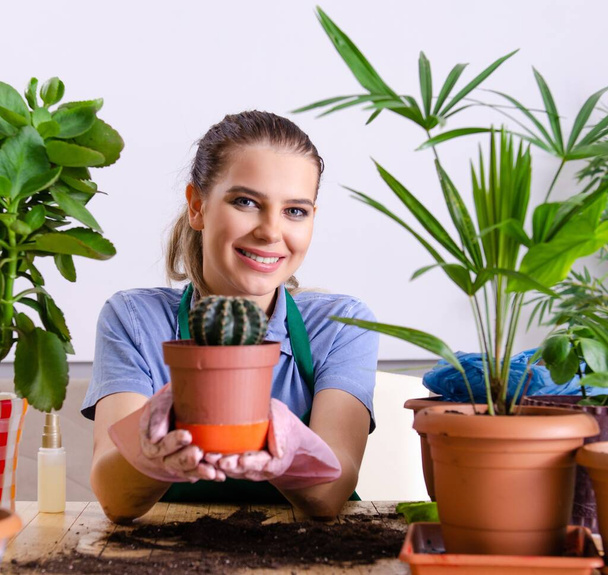 De jonge vrouwelijke tuinman met planten binnen - Foto, afbeelding