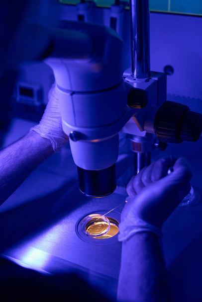 Male genetic abnormalities laboratory worker examining cells under microscope, doing embryo biopsy to gather necessary genetic material for analysis - Zdjęcie, obraz