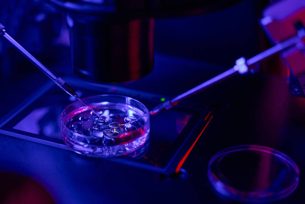 Close-up micromanipulator doing fertilization of female cell with spermatozoa on cell culture dish, ivf procedure - Φωτογραφία, εικόνα