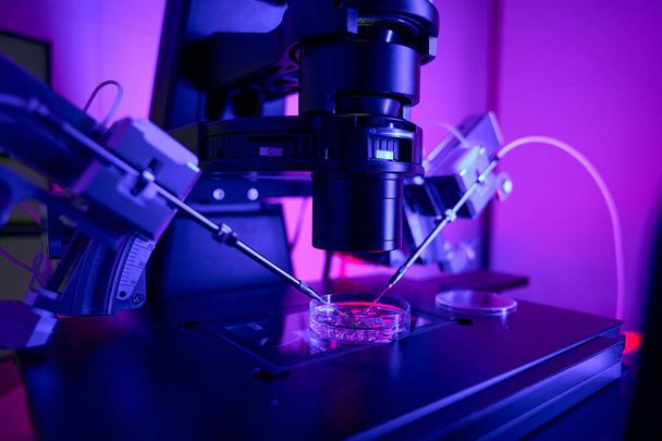 Embryonentests im Labor für Reprudoktologie, Biopsie und Zellkultivierung mit Hilfe von Mikromanipulator und Mikroskop - Foto, Bild