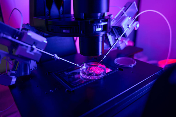 Κοντινό πλάνο επιστήμονας εργαστηριακός εργαζόμενος κάνει μικροενέσεις σε έμβρυα με τη βοήθεια του μικροχειριστή, τη διεξαγωγή γενετικών ερευνών - Φωτογραφία, εικόνα