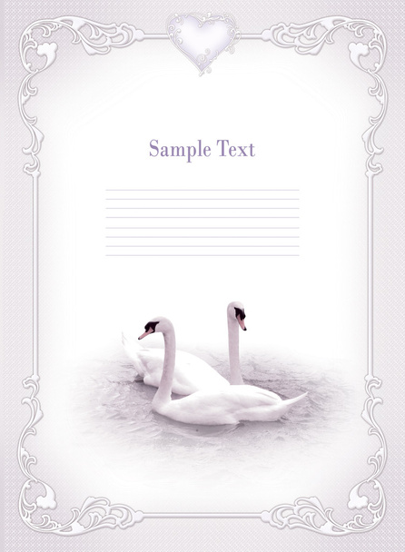 Wedding swans - Photo, image