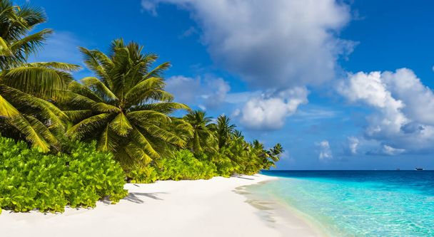 beautiful beach with crystal clear water next to the sand in summer with palm trees - Photo, Image