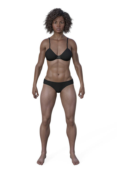 Eine 3D-Illustration eines weiblichen Körpers mit mesomorphem Körpertyp, gekennzeichnet durch eine muskulöse und athletische Statur mit breiten Schultern und schmaler Taille. - Foto, Bild