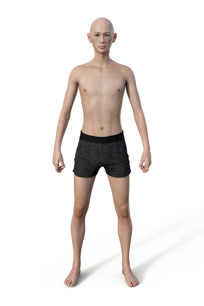 Un'illustrazione 3D di un corpo maschile con tipo di corpo ectomorfo, caratterizzato da una corporatura magra e snella con un minimo di grasso corporeo. - Foto, immagini
