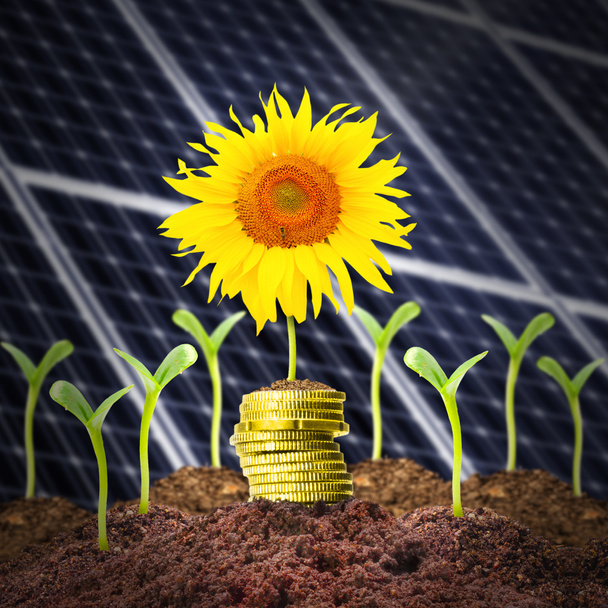 Investissements dans les ressources renouvelables
. - Photo, image