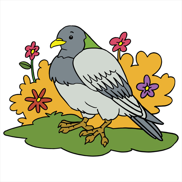 Pigeon cartoon illustration isolated on white - Vektori, kuva