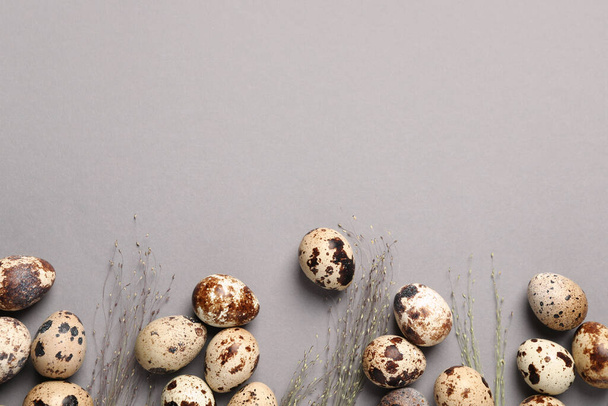 Speckled quail eggs and dry herbs on light grey background, flat lay. Space for text - Foto, Imagen