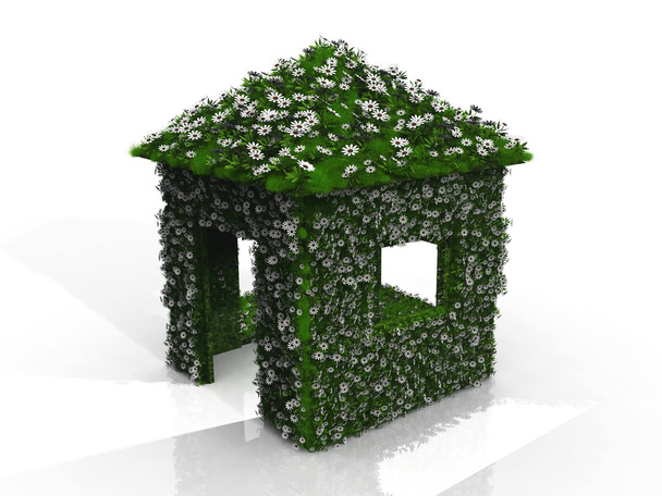 Зеленый дом
 - Фото, изображение