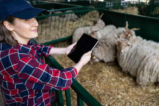 Woman farmer with tablet in a sheepfold. Herd management - Фото, зображення