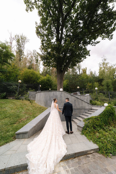 Rückansicht von Bräutigam und Braut stehen vor großem Baum. Hochzeitstag. Hochwertiges Foto - Foto, Bild