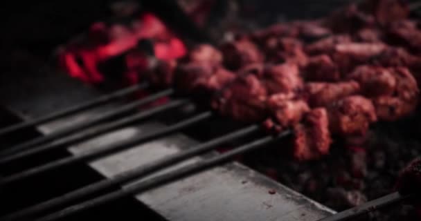 gegrilde groenten gekookt op houtskool outdoor BBQ partij picknick voedsel - Video