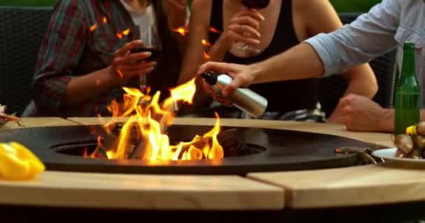 Griller la viande de poulet Fermer Barbecue chaud saison grill famille profiter - Séquence, vidéo