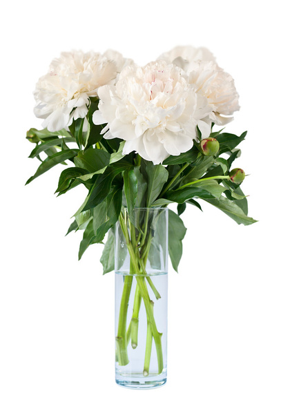 Bouquet of peonies in vase - Photo, Image