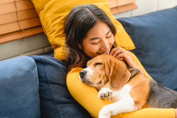 Een vrouw wordt getoond in een vriendelijke interactie met haar hond, een speelse beagle, thuis. Ze zitten samen, genieten van activiteiten tijdens het weekend - Foto, afbeelding
