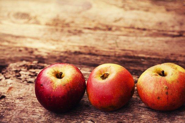 Autumn apples  on table - 写真・画像