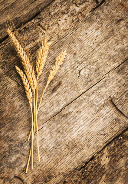Spikelets of wheat on table - Foto, Imagem