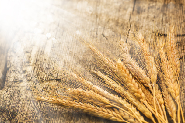 Spikelets of wheat on table - Фото, зображення