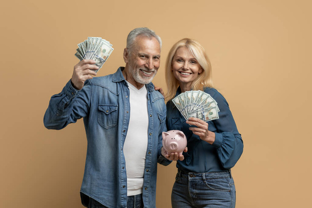 Happy cheerful beautiful senior couple holding money cash dollar banknotes and piggy bank, isolated on colorful studio background. Savings, deposit, financial literacy while retirement - Fotografie, Obrázek