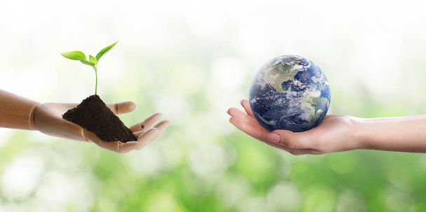 Make Earth green. Woman holding globe, soil with seedling in wooden hand model against blurred background - Photo, image