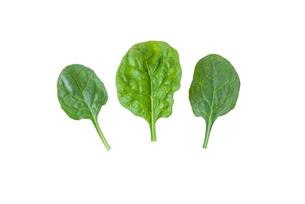 Green spinach leaves set isolated on white. Spinacia oleracea leaf vegetable. - Foto, immagini
