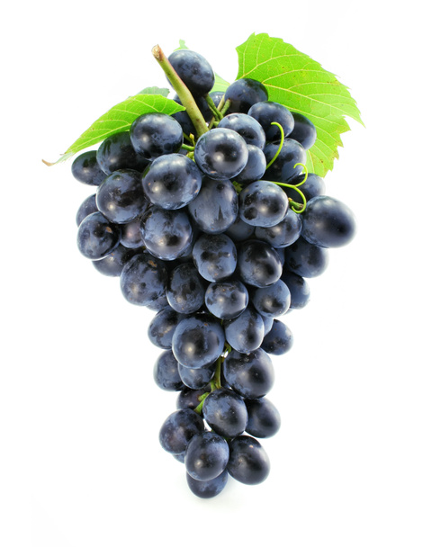 Кластер голубой винограда изолированные - Фото, изображение