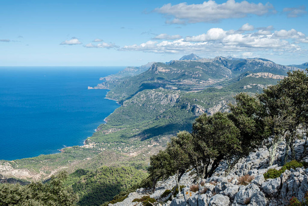Sierra de tramuntana erdős partvidéke, Banyalbufar, Mallorca, Spanyolország - Fotó, kép
