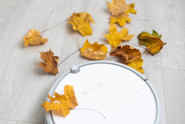 száraz őszi levelek és egy robot porszívó. - Fotó, kép