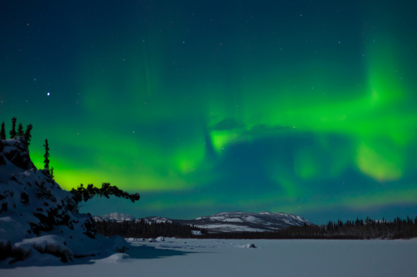Aurores boréales (Aurora borealis)
) - Photo, image