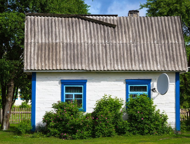 Дерев'яний будинок в українського Полісся - Фото, зображення