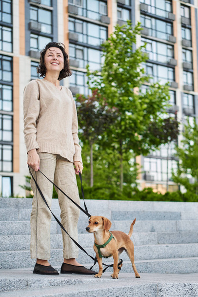 Young pretty female adult with small ginger dog in the bi city walking having fun. City view High quality photo - Foto, imagen