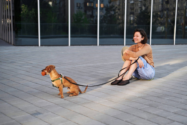 Şehirde oturan, sarılan, gülümseyen bir köpeği olan genç bir kadın. Köpeği okşamak, beslemek, eğlenmek. - Fotoğraf, Görsel