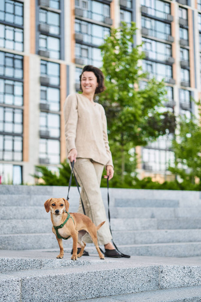 Young pretty female adult with small ginger dog in the bi city walking having fun. City view High quality photo - Photo, Image