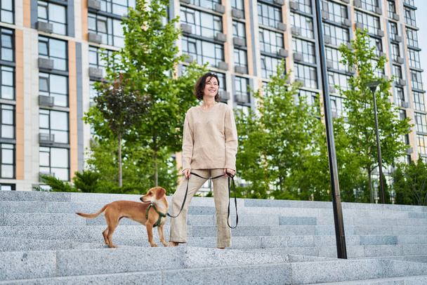 Young pretty female adult with small ginger dog in the bi city walking having fun. City view High quality photo - Valokuva, kuva