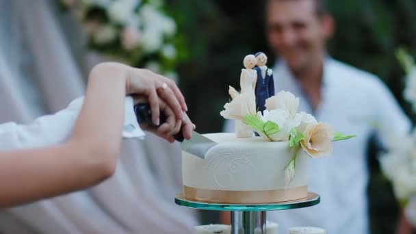 nevěsta a ženich krájí svatební dort - Záběry, video