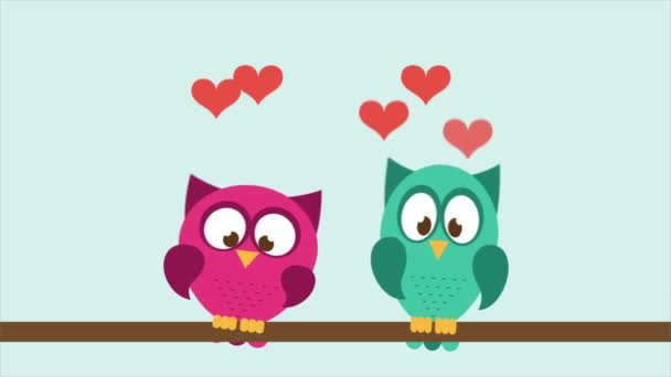 Pöllö pari rakastunut Video Animaatio HD 1080
 - Materiaali, video