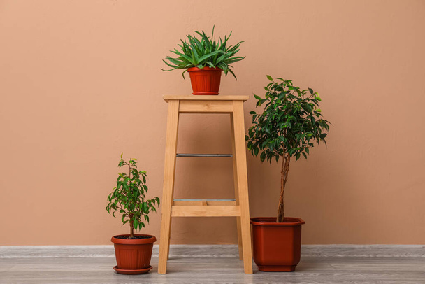 Wooden stool with potted houseplants near beige wall - Photo, Image