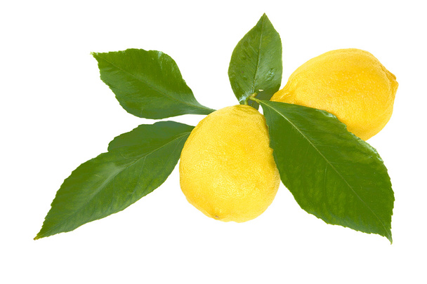 Limoni con foglie
 - Foto, immagini