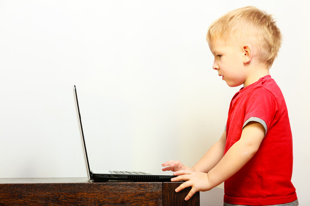 Boy using laptop - Foto, Imagem