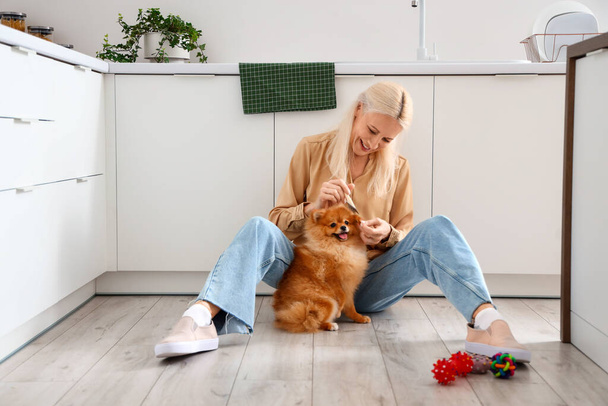 Mature woman brushing Pomeranian dog in kitchen - Фото, зображення