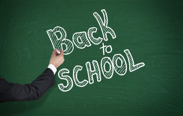 back to school - Photo, image