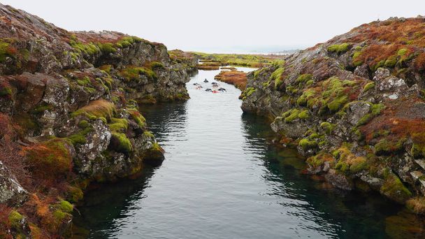 人々のグループは、北極の冷たい水の中で屋外スポーツで楽しんで、 reykjavik近くの植物園で冬のシュノーケリングをします。凍る川、アイスランドの風景の中に泳ぐ観光客。手持ち撮影. - 写真・画像